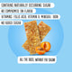 Apricot Muesli Bar