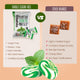 Sugar Free Mint and Cream Sweets (75g)